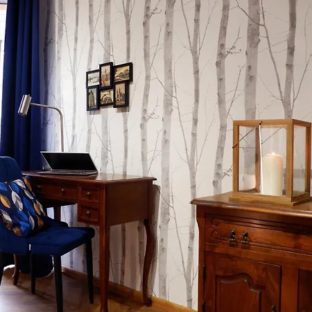 Cichy W Centrum Apartamento Nowy Sącz