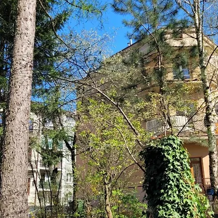 Cichy W Centrum * Nowy Sącz